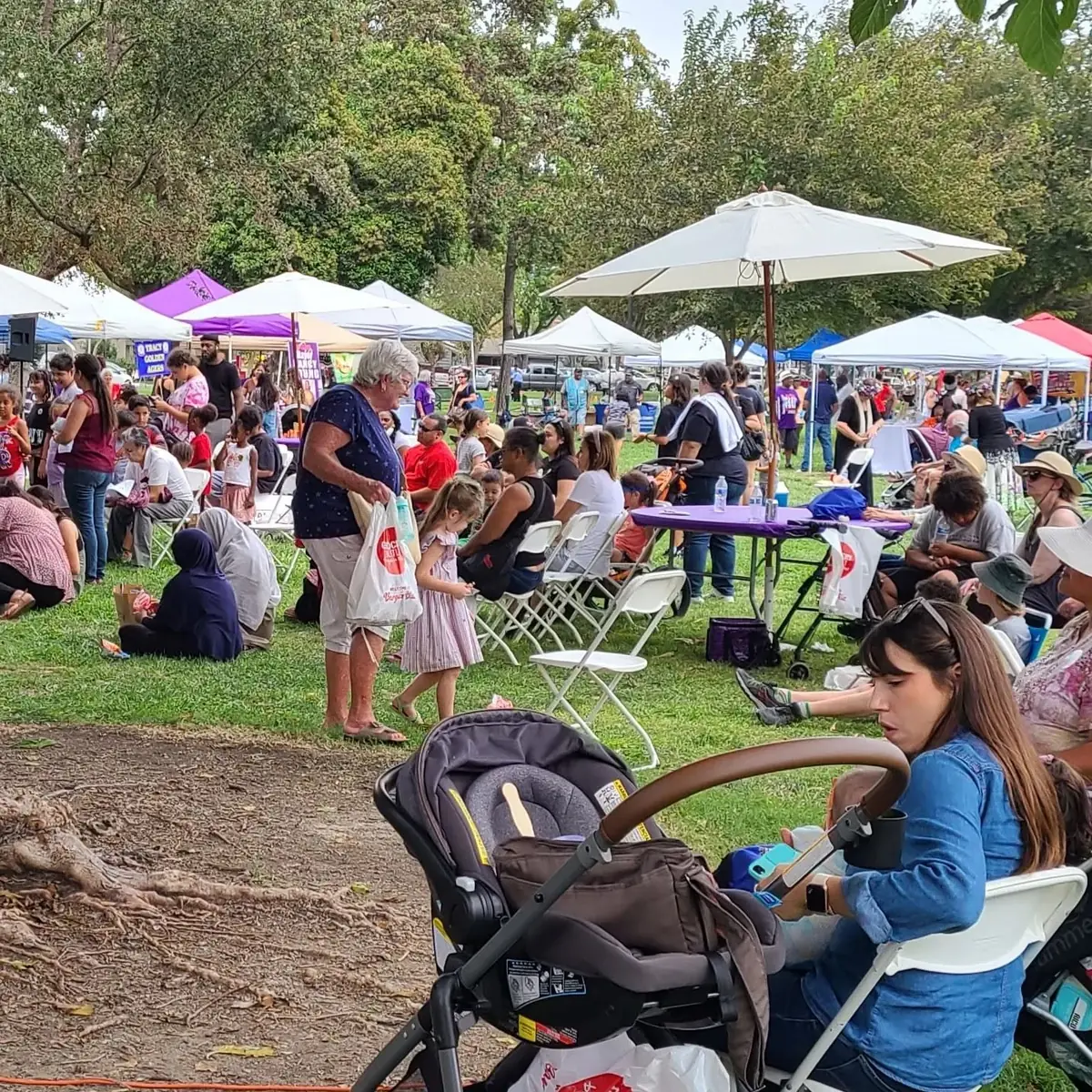 Families sitting in folding chairs and on the grass among white vendor tents at Lincoln Park